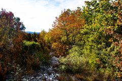 Quand l'automne s'installe 