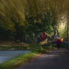 quand le canal du midi souffre