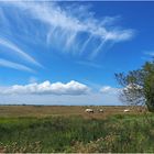 Quand le ciel s’en mêle…