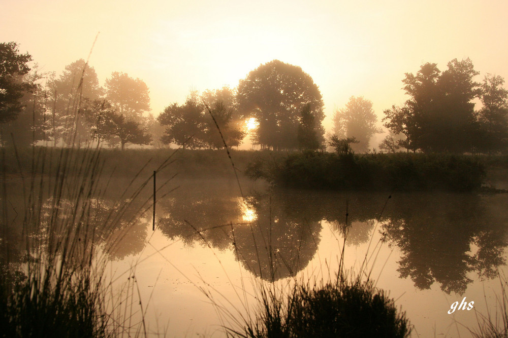 Quand le jour parait !