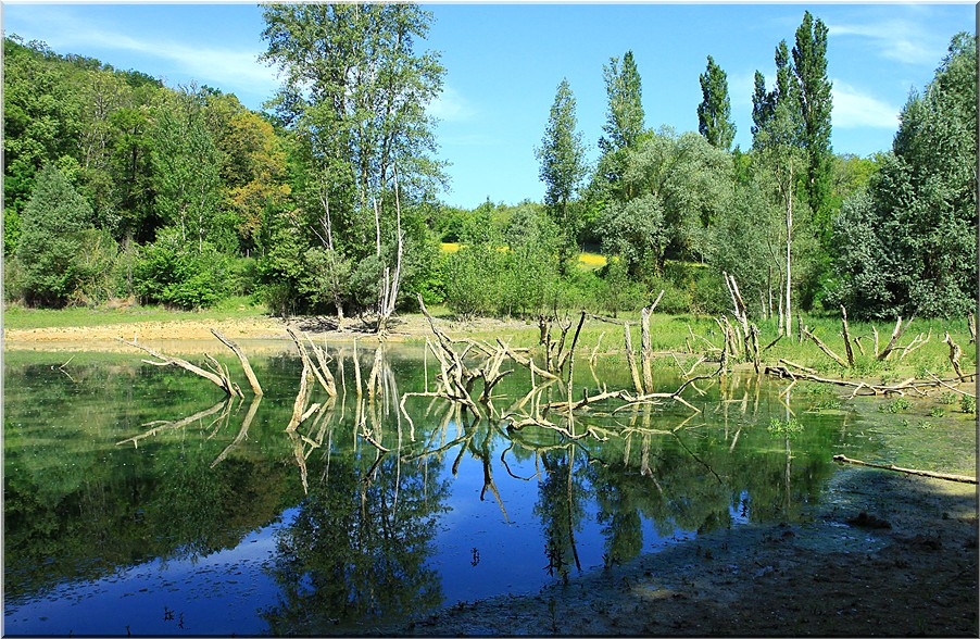 QUAND LE LAC MANQUE D'EAU ....