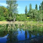 QUAND LE LAC MANQUE D'EAU ....