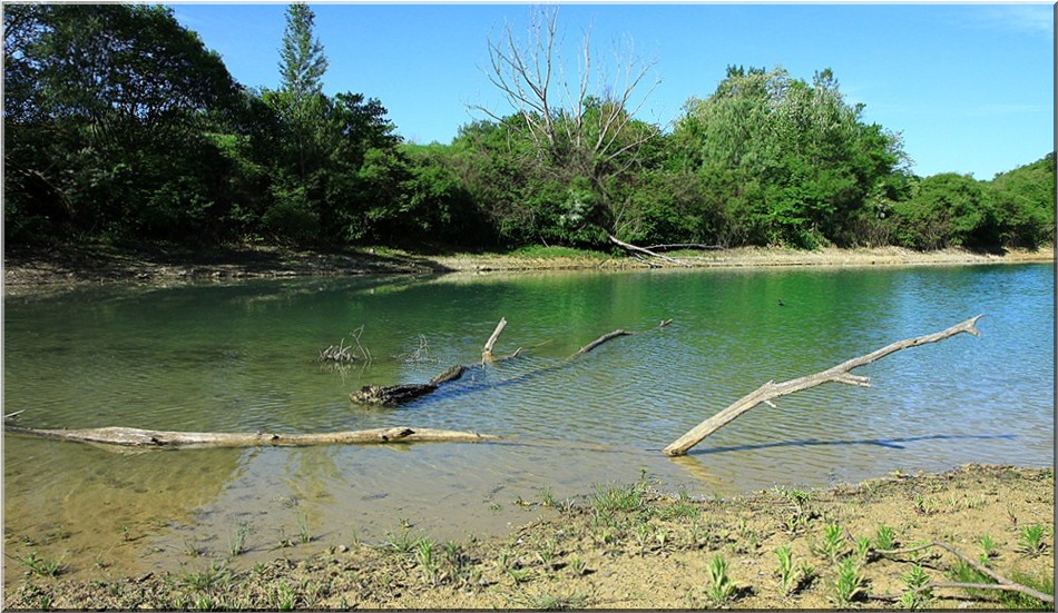 QUAND LE LAC S ' ASSECHE