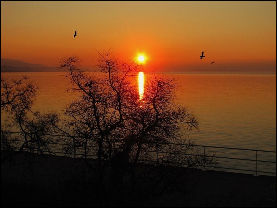 quand le Léman s'embrase !!!