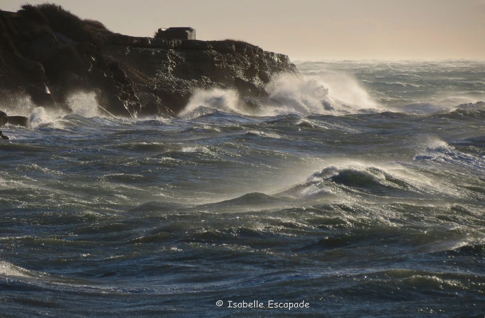 Quand le Mistral souffle...