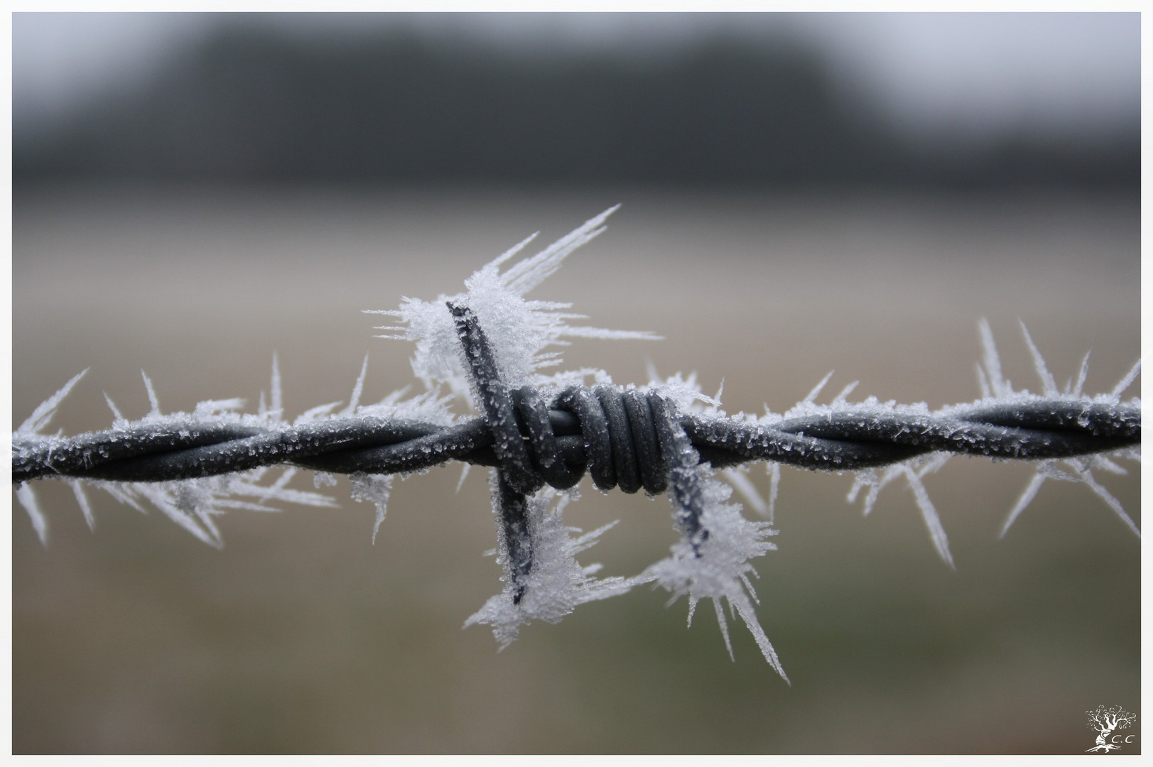 quand le naturel renforce l'artificiel