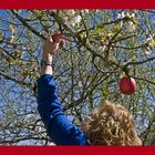 Quand le printemps miraculeux éveille l’envie et la convoitise… !  *