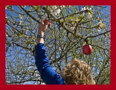 Quand le printemps miraculeux éveille l’envie et la convoitise… !  *