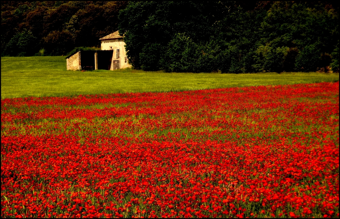 Quand le printemps s'éclate !!!