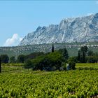 Quand le rosé reverdit sous Sainte Victoire