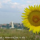 Quand le soleil a rendez-vous avec la lune