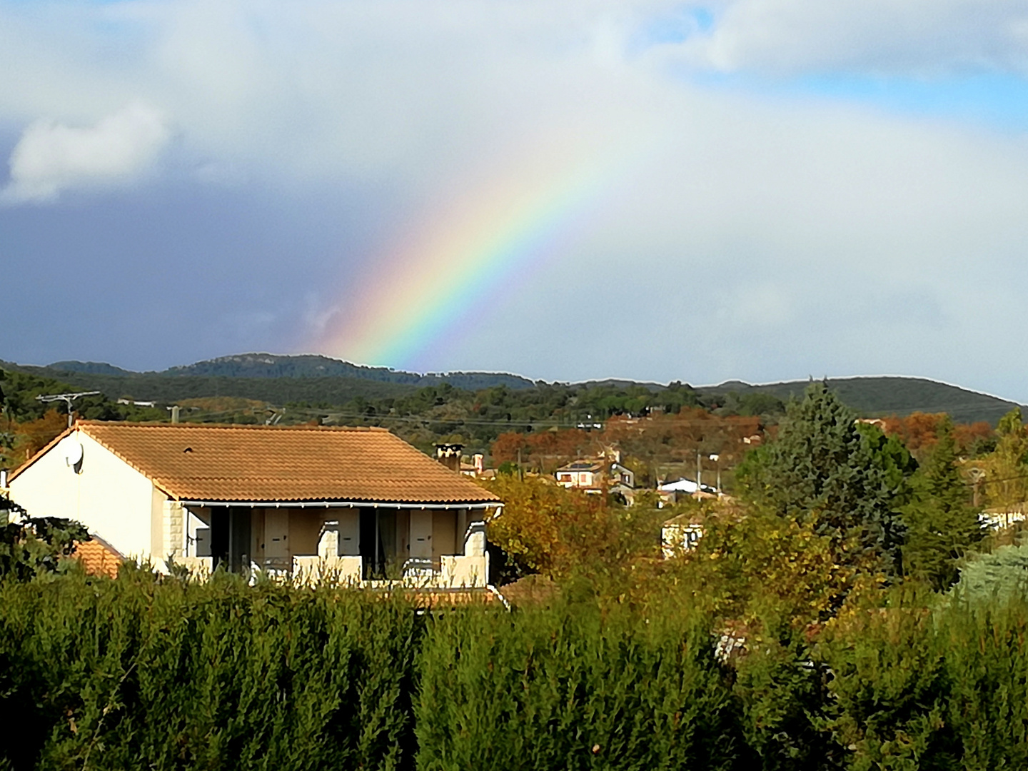 quand le soleil joue avec les gouttes ...