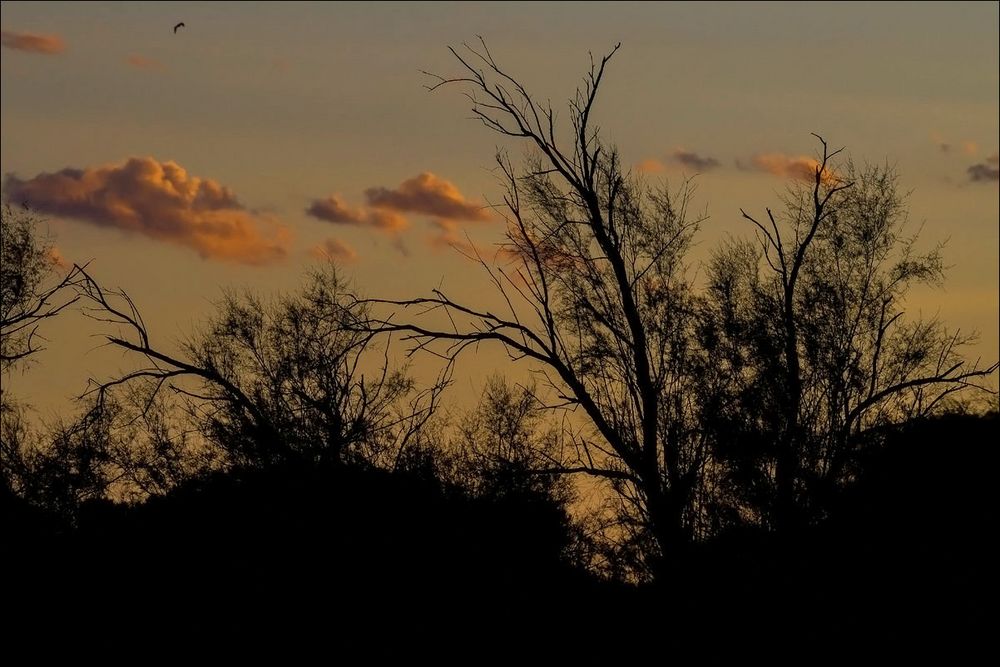 Quand le soleil se couche