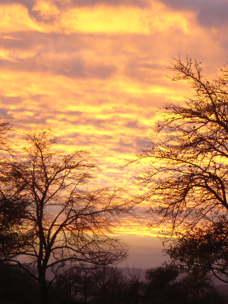 QUAND LE SOLEIL SE COUCHE (vosges du nord)