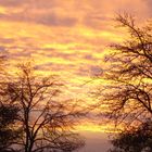 QUAND LE SOLEIL SE COUCHE (vosges du nord)