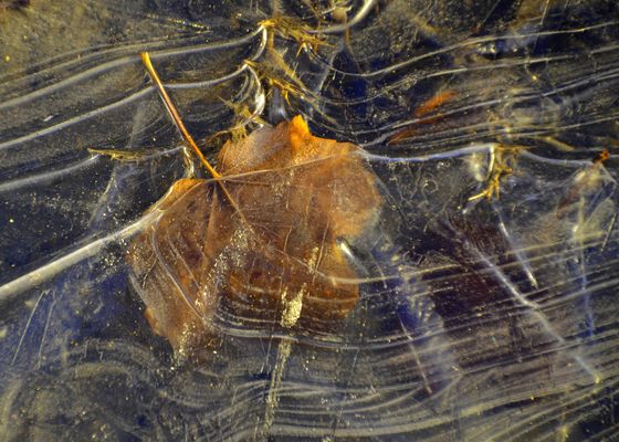 * quand le soleil se lève *