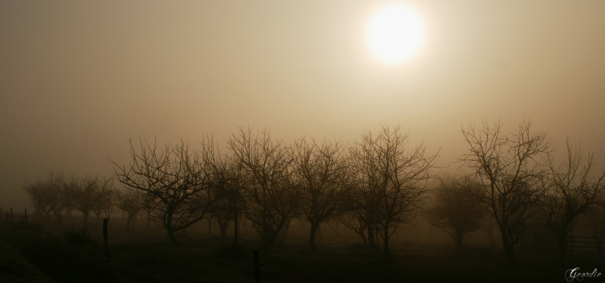 quand le soleil se lève sur la brume