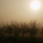 quand le soleil se lève sur la brume