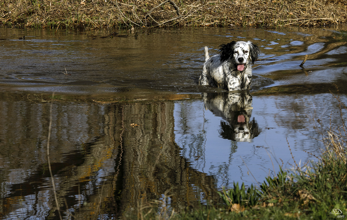 Quand l'eau est bonne