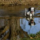 Quand l'eau est bonne