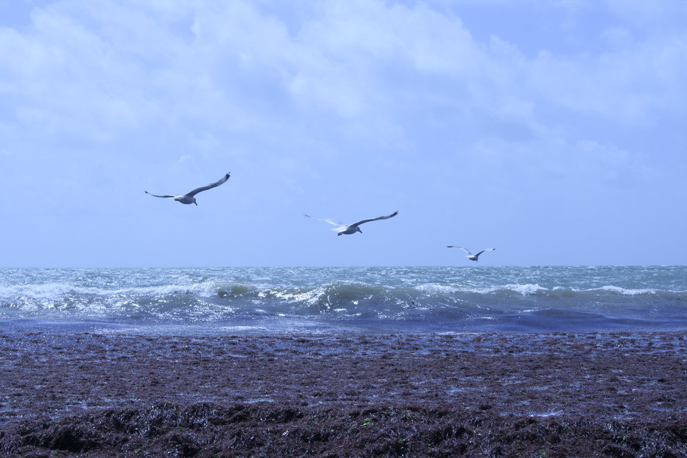 quand les eaux ce déchaînent avec le vent la terre a peur