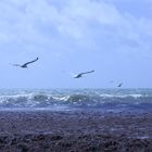 quand les eaux ce déchaînent avec le vent la terre a peur