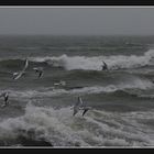 "Quand les mouettes volent en dessous de la crête des vagues, il est temps de renter à la maison "