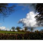 Quand les nuages jouent avec les arbres