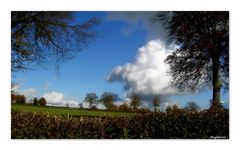 Quand les nuages jouent avec les arbres