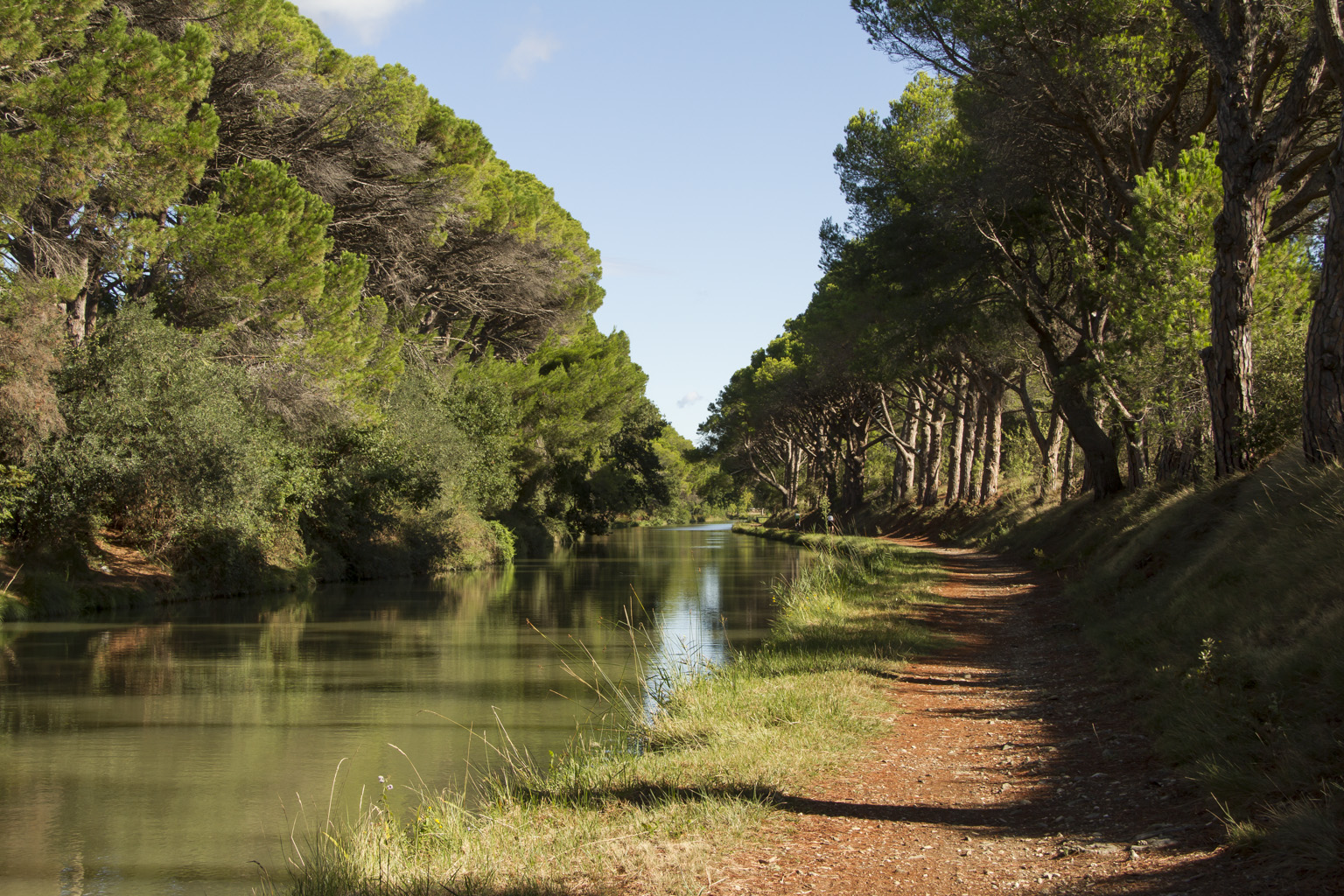 Quand les platanes laissent place aux pins!