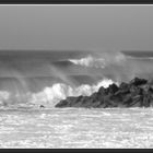 Quand les vagues ont des moustaches...