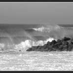 Quand les vagues ont des moustaches...