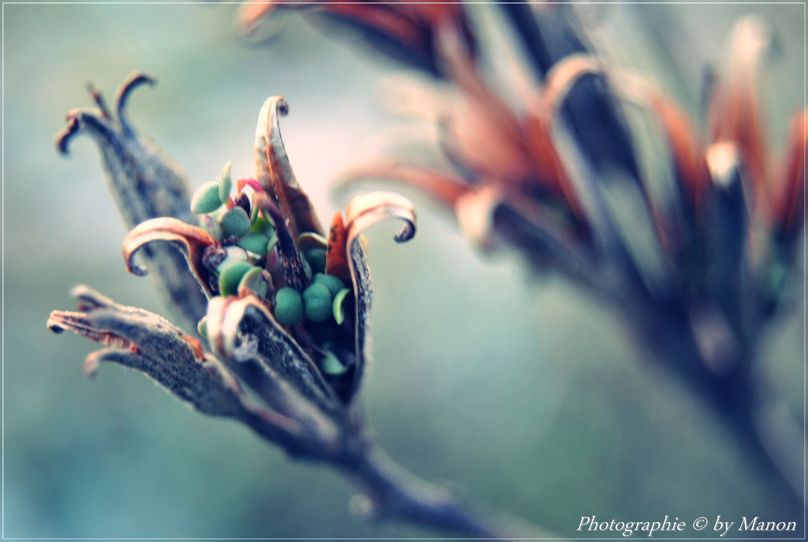 Quand l'hiver deviens prinptemps