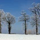 Quand l'hiver nous charme de ses couleurs !