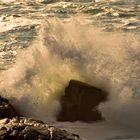 Quand l'océan gronde