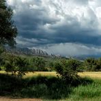 Quand l'orage arrive....