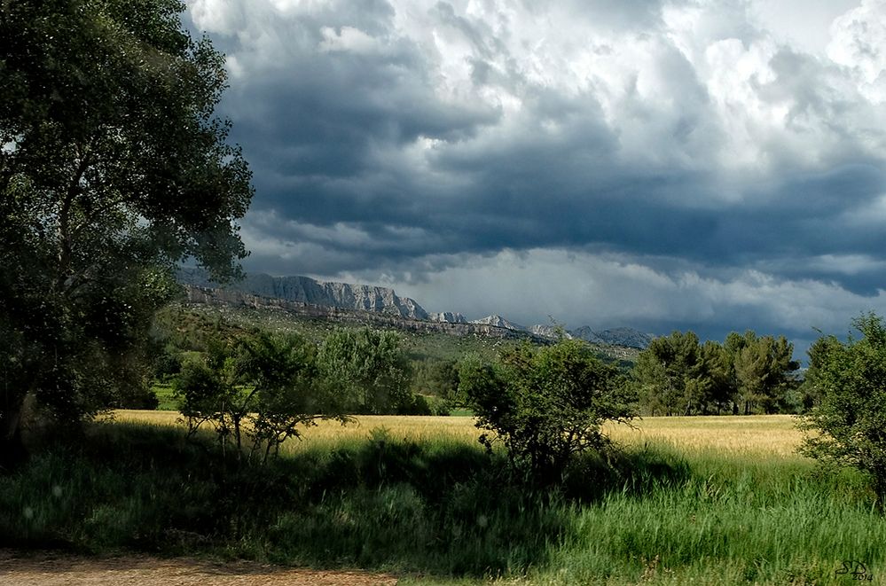 Quand l'orage arrive....