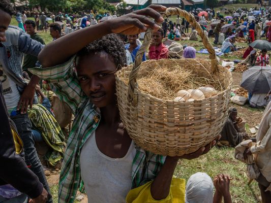 Quand on n'a qu'un seul panier... on y met tous ses oeufs.