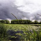 Quand on s' promène au bord de l'eau....