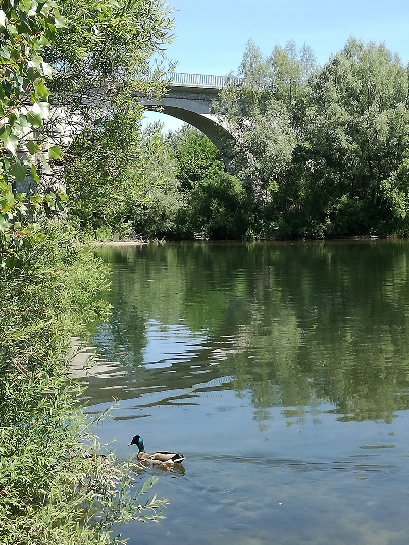 Quand on s'promène au bord de l'eau .....