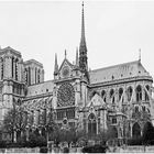 quand reverrons nous  le toit de Notre Dame ?