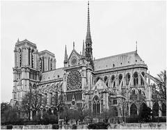 quand reverrons nous  le toit de Notre Dame ?