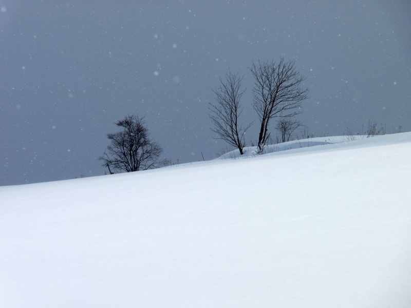 Quand tombe la neige