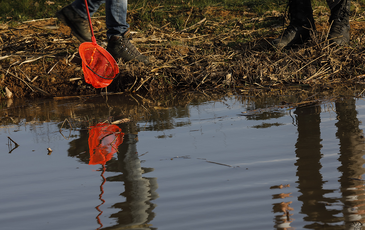 Quand tout n'est que reflets (10)