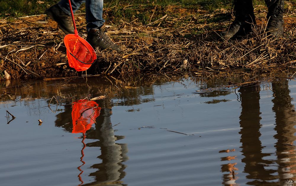 Quand tout n'est que reflets (10)