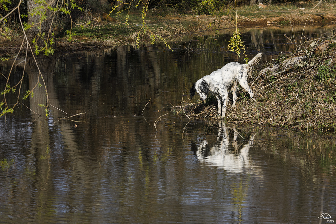 Quand tout n'est que reflets (11)