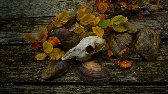 Quand tout prend fin