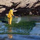 Quand un breton lave la mer 