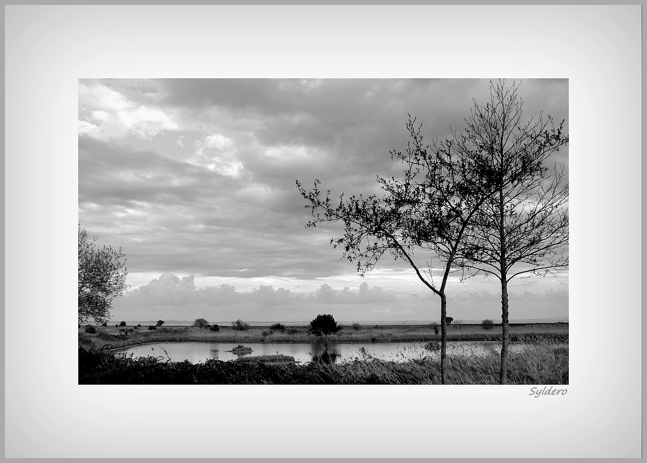 Quand vient l'orage