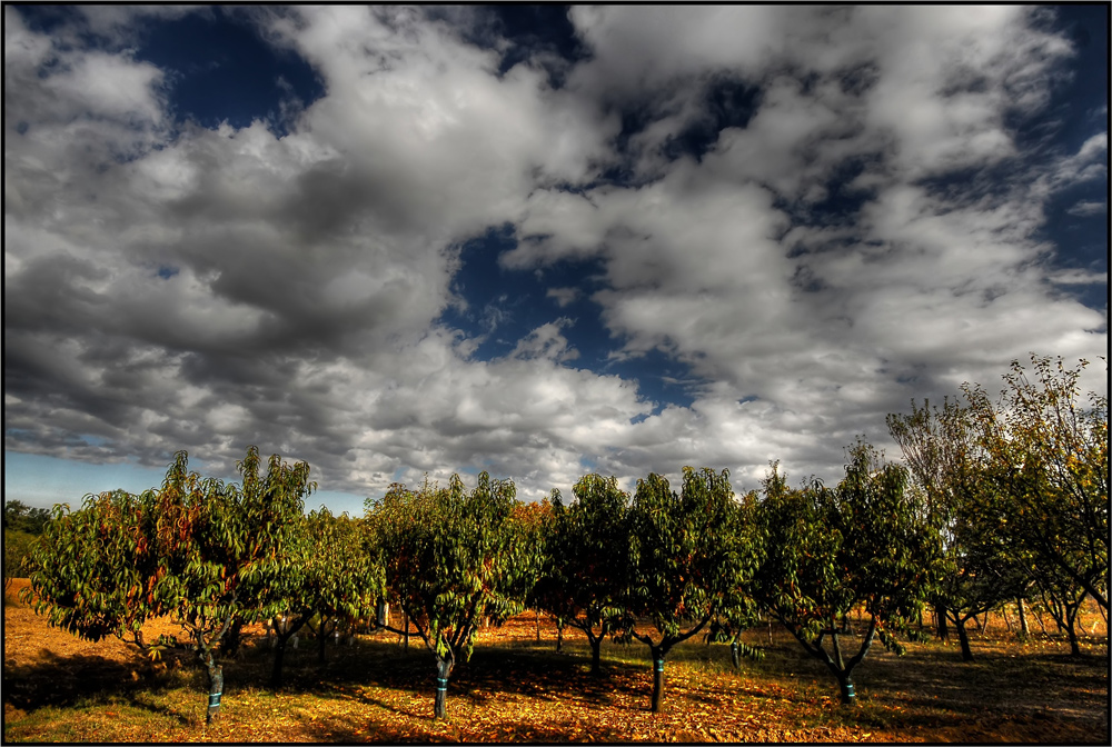 quando arriva l'autunno